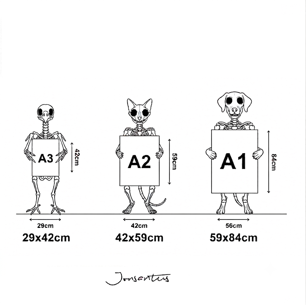 animals - jonsantus.com